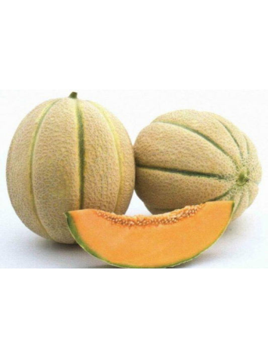 Sárgadinnye Gália/Kantalup kg-os